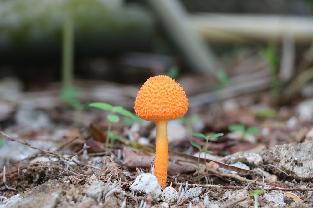 Photograph by Dimuth De Zoysa