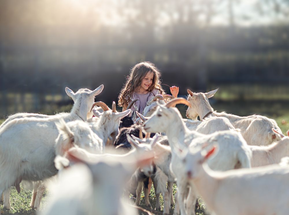 Photograph by Марина Григорьева