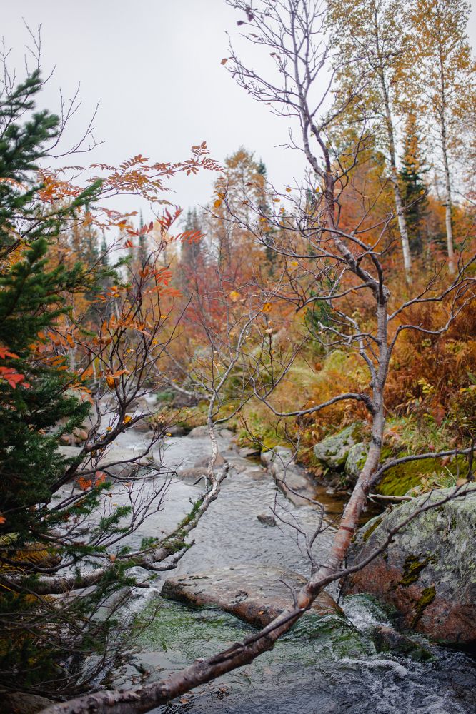 Photograph by Алина Перескокова