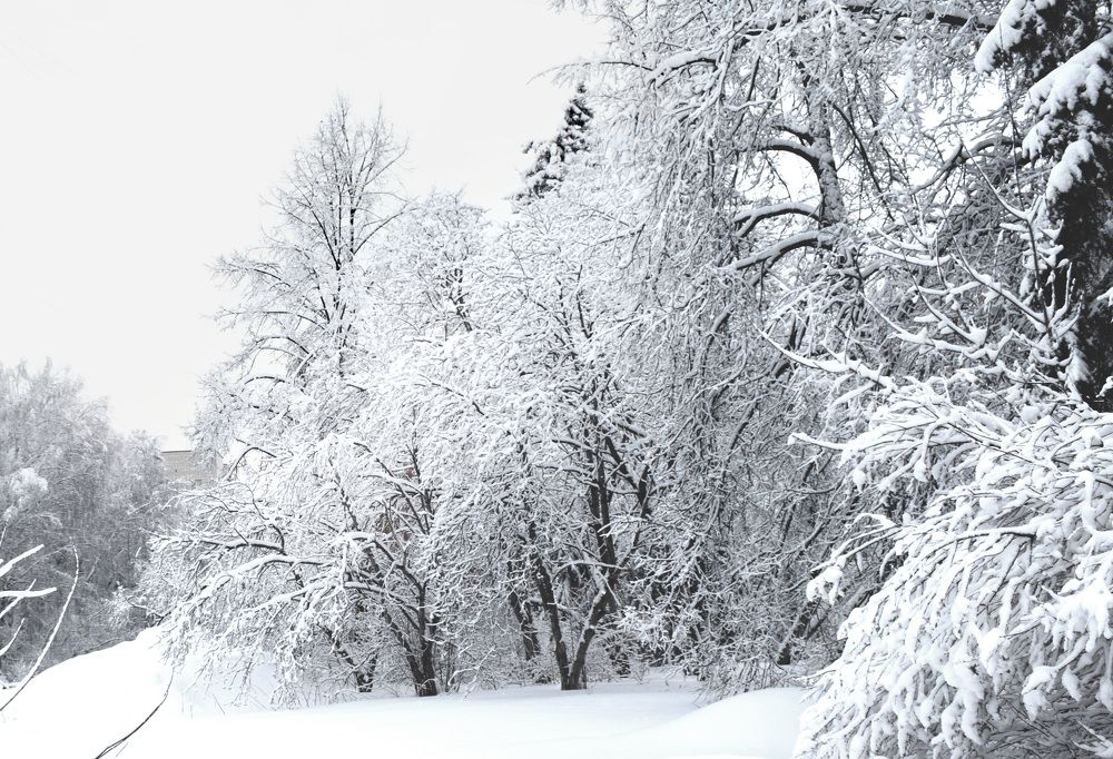 Photograph by Борис Большаков