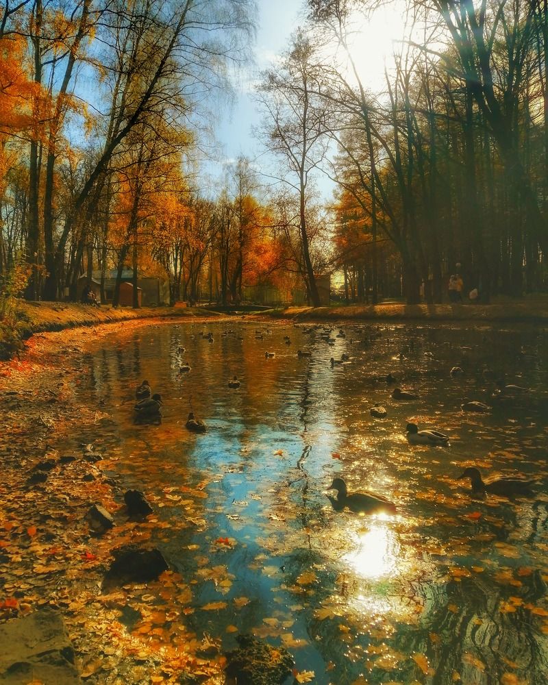 Photograph by Михаил Логвиненко