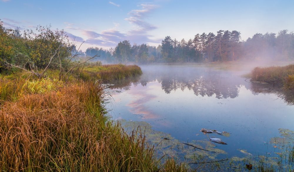 Осенний затон