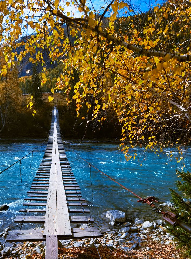 Photograph by Инна Адамович