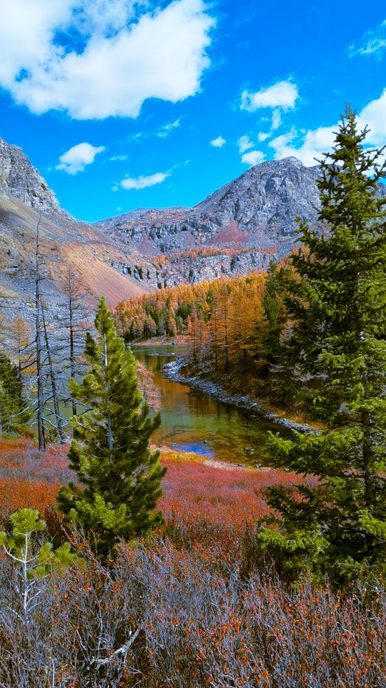 Photograph by Инна Адамович