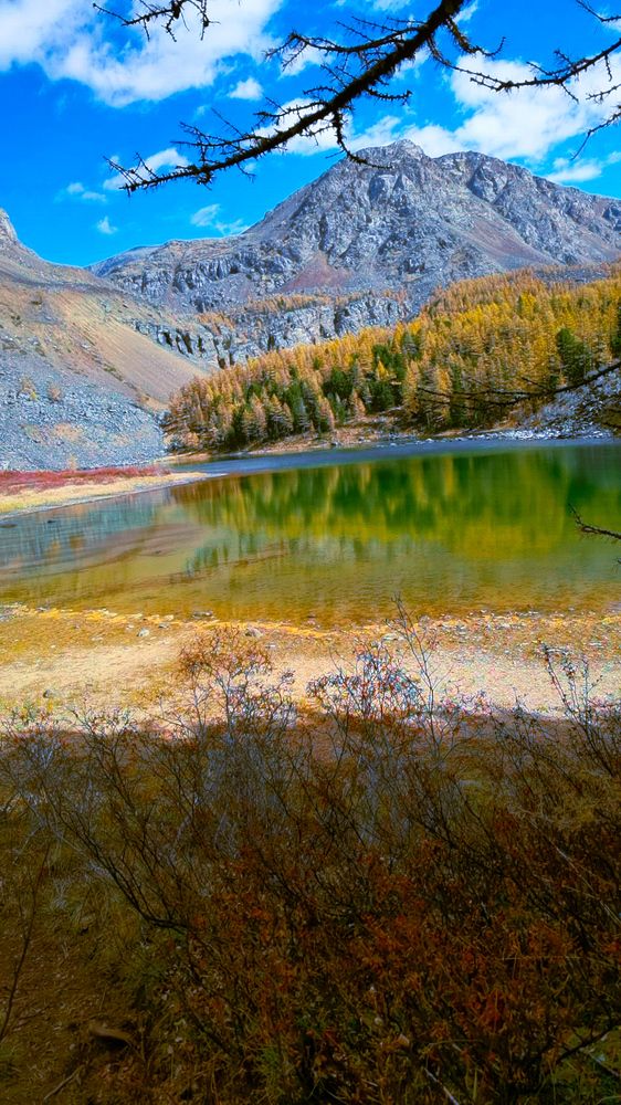 Photograph by Инна Адамович