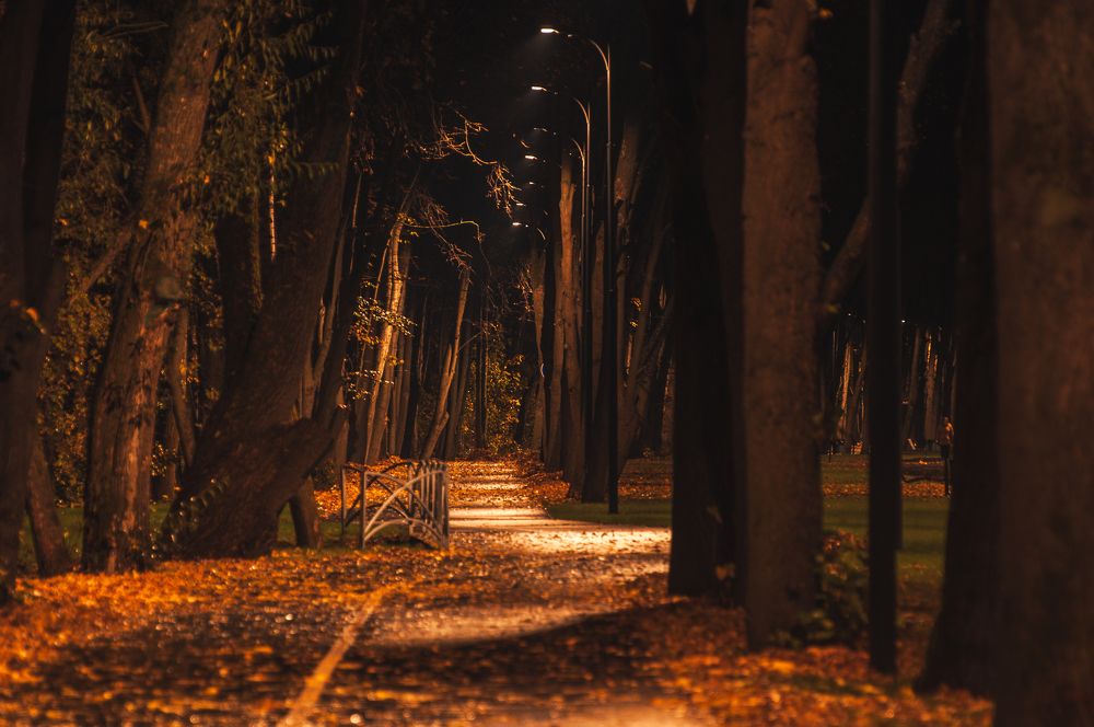 Photograph by Татьяна Зубехина