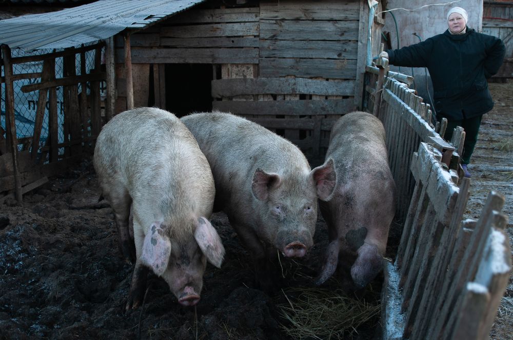 Photograph by Татьяна Зубехина