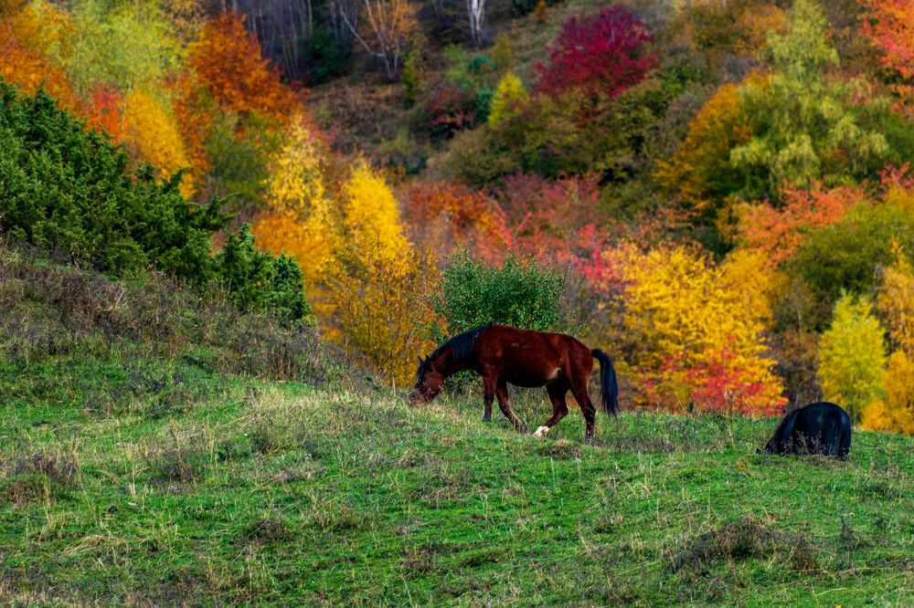 Photograph by Levan Svanidze