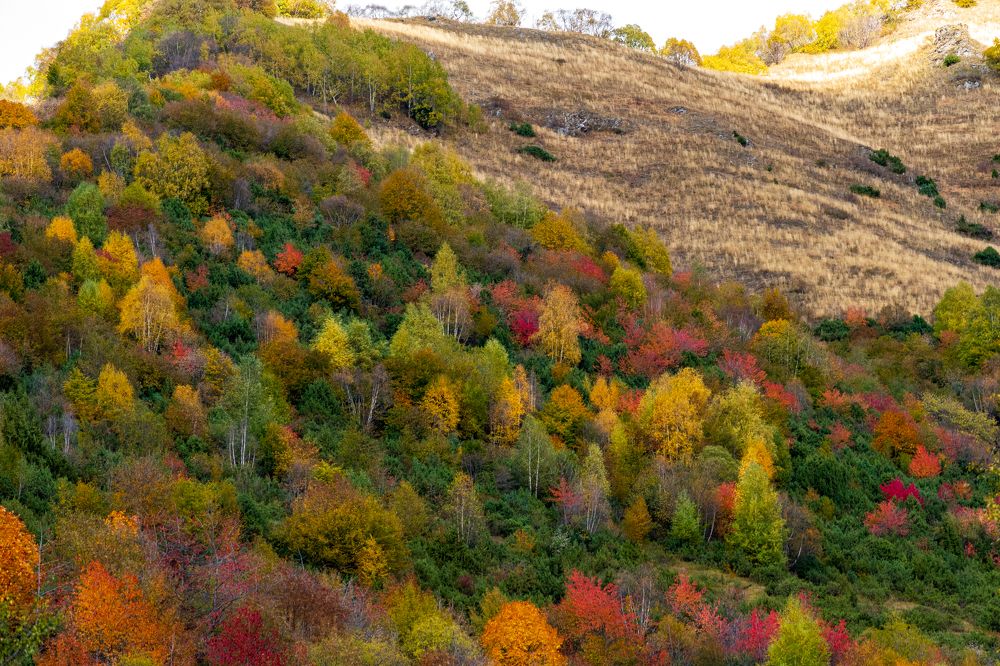 Photograph by Levan Svanidze