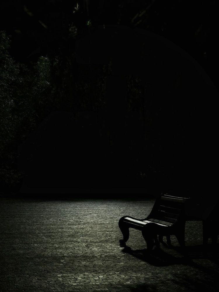 Одиночество в ночи