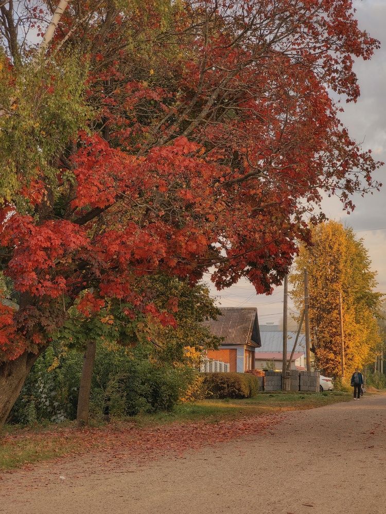 Осень в Можге