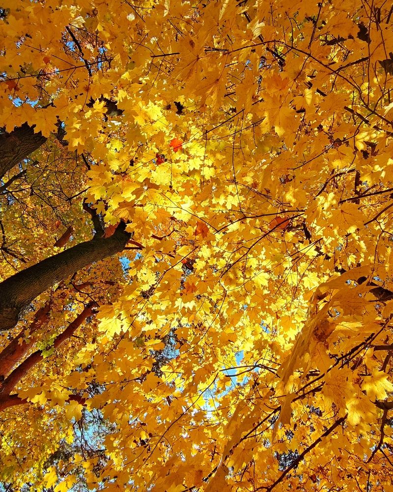 Photograph by Петр Поспелов