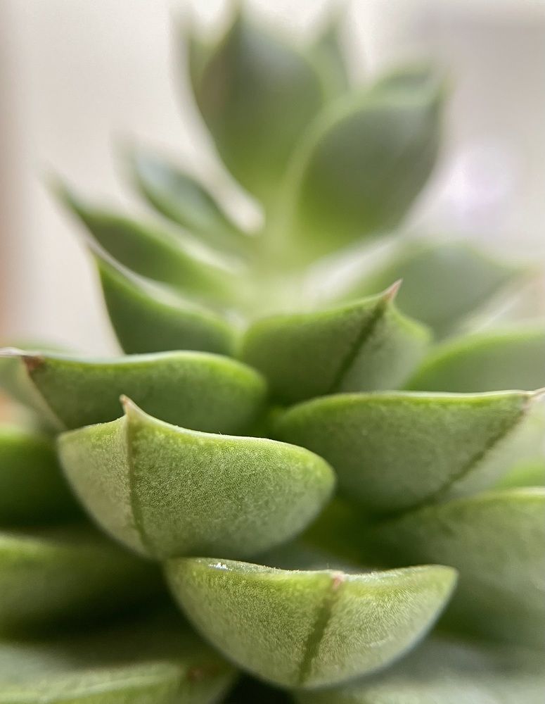 Photograph by Татьяна Раковская