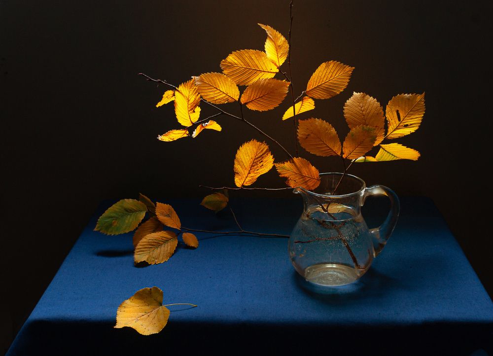 Осенние листья.