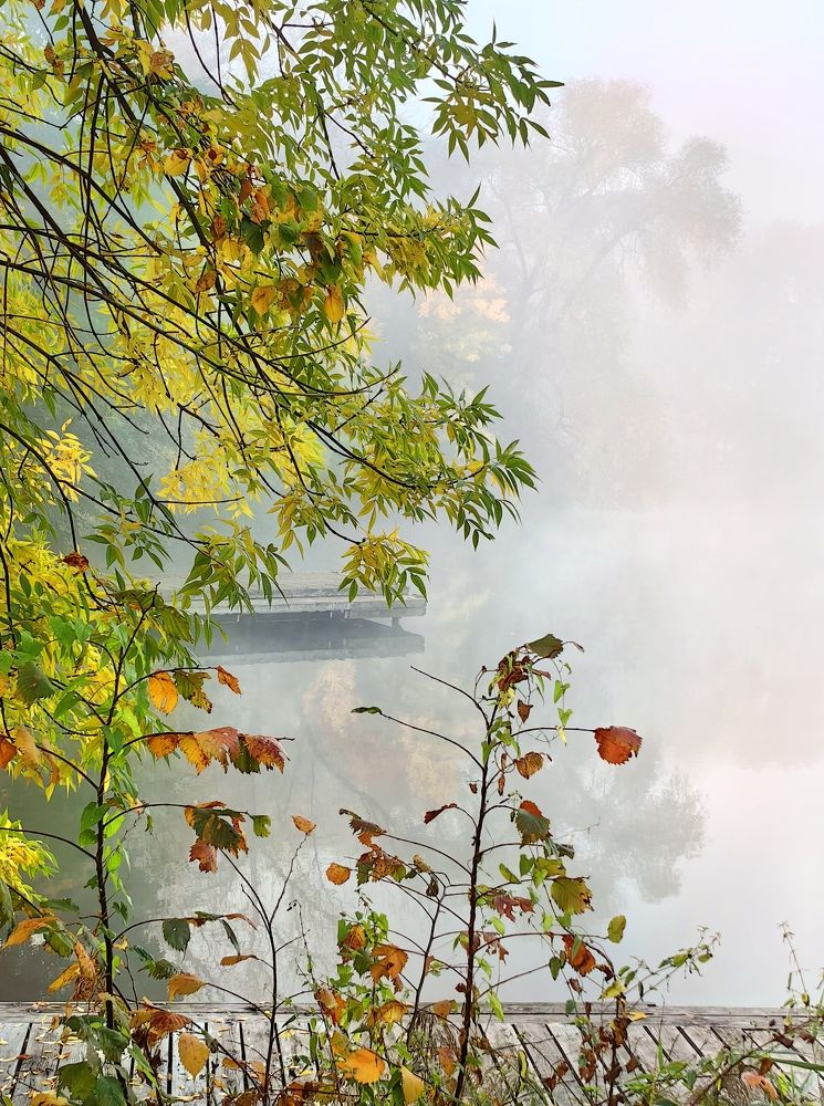 Photograph by Анна