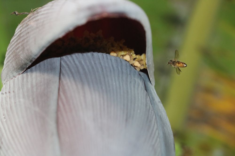 Photograph by Dimuth De Zoysa