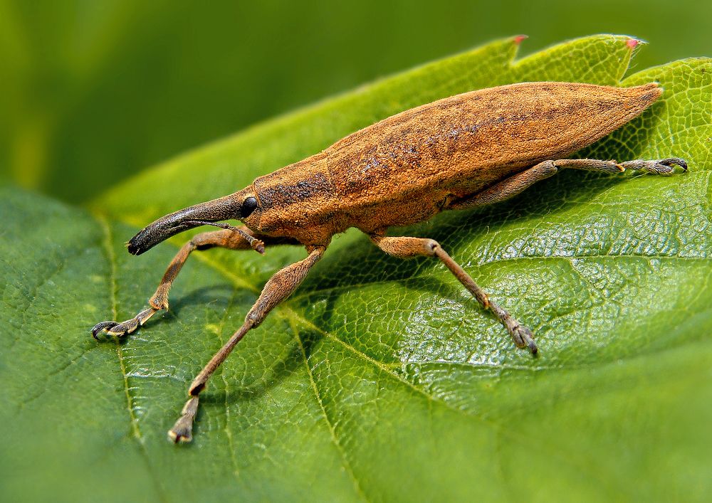 Photograph by Павел Колеснев