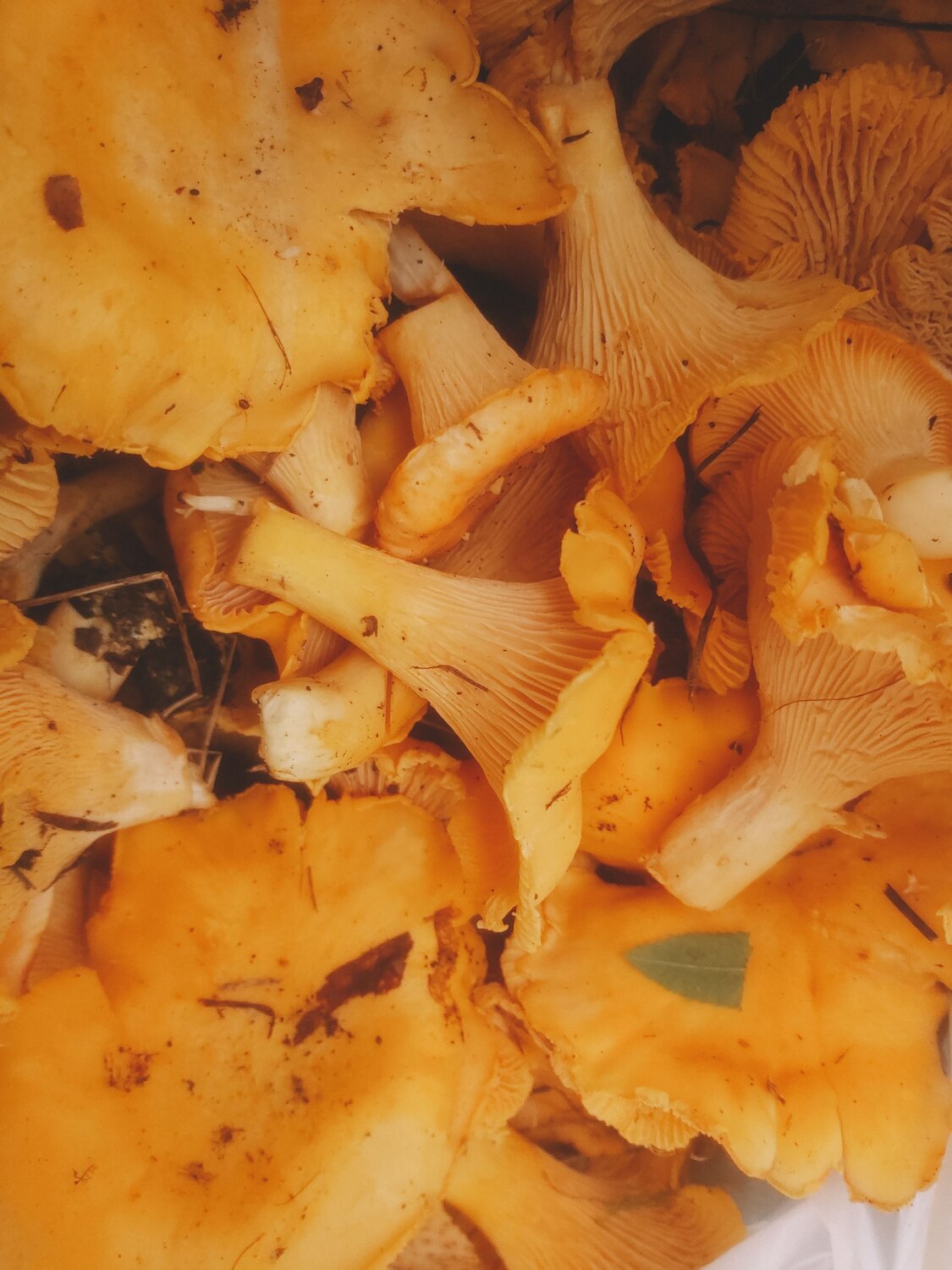 Photo #9595358