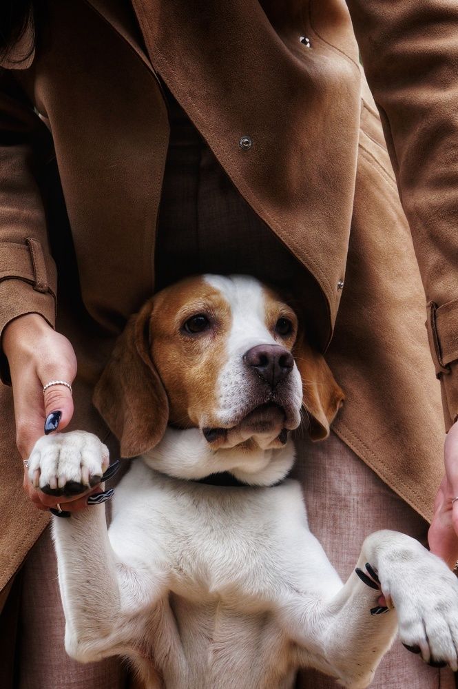 Take a picture like in a magazine