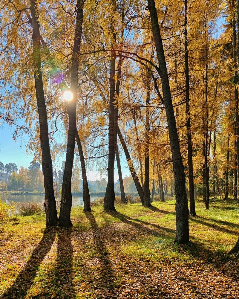 Photograph by Петр Поспелов