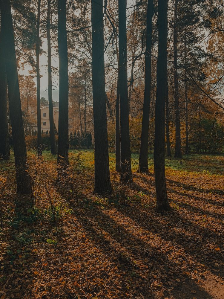 Photograph by Наталья Манжиева