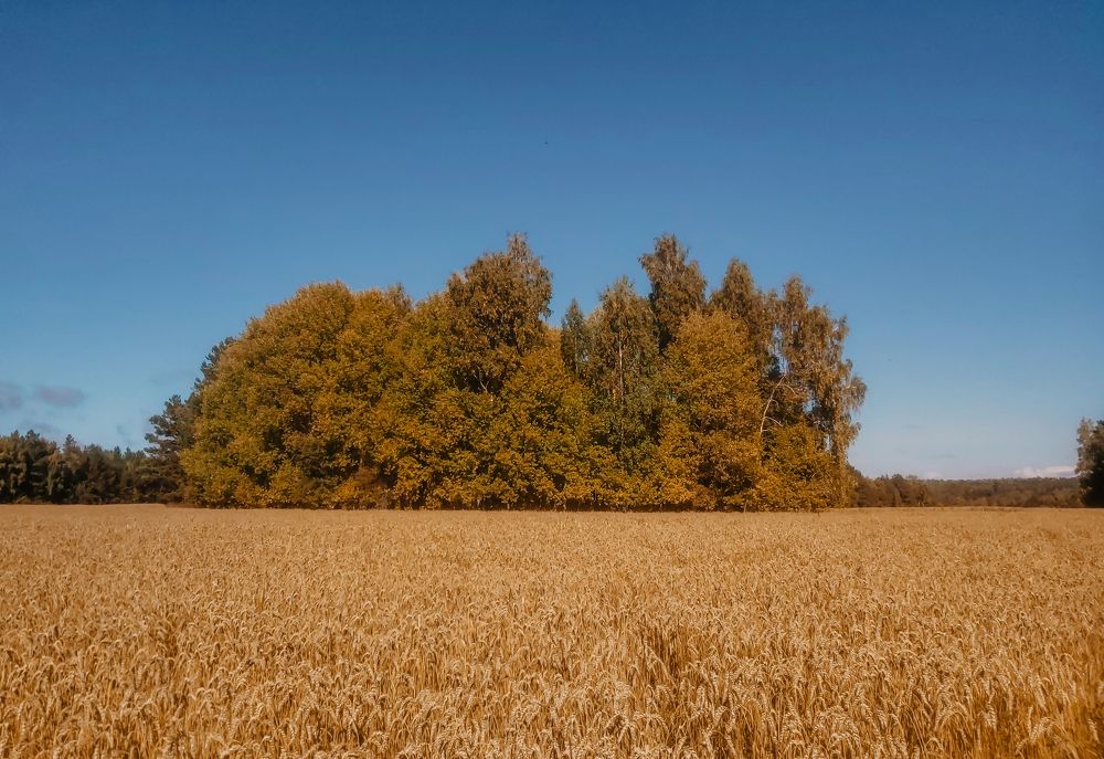 Photograph by Мария Лысых