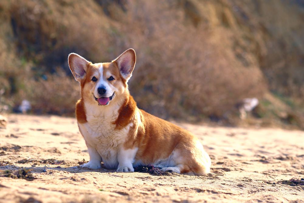 Photograph by Станислав Дроздов