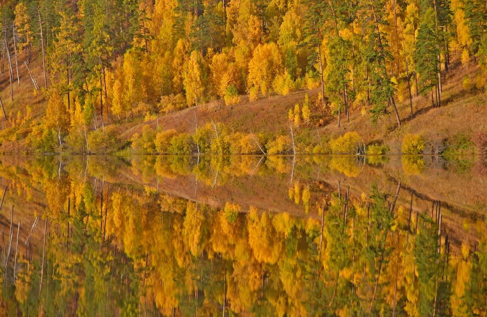 Photograph by Александр Кочуркин