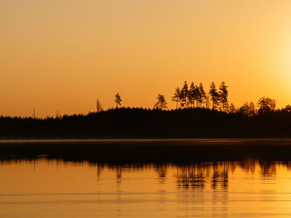 Photograph by Елена Чиркова