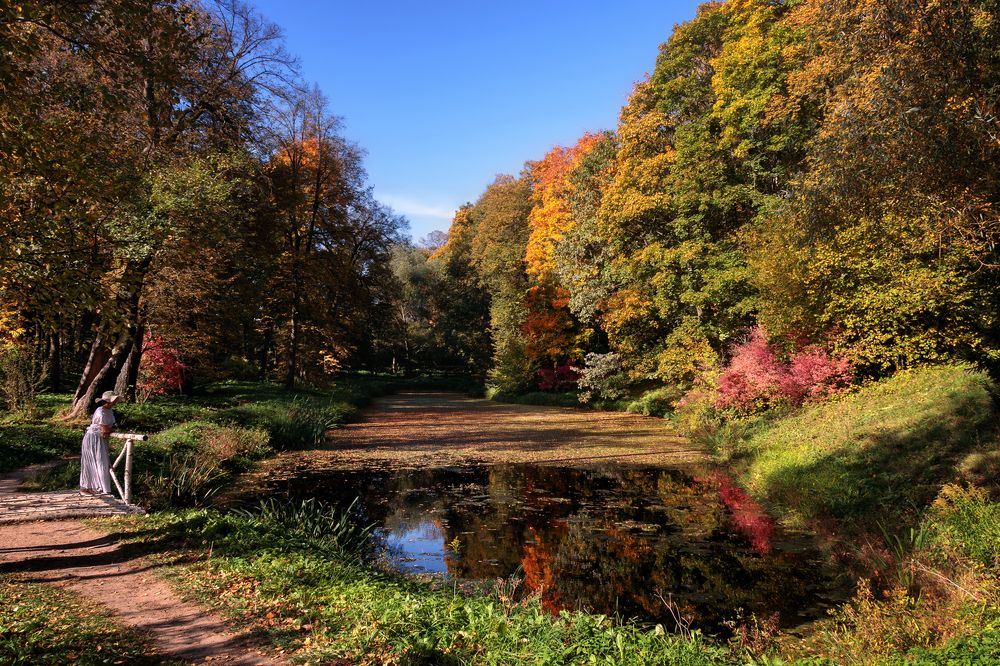 Photograph by Анатолий Веремеев