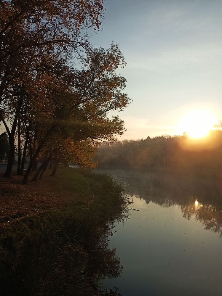 Фотография автора Татьяна Шахова