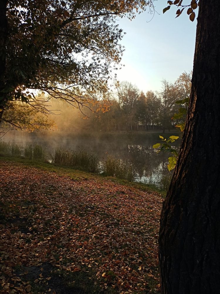 Фотография автора Татьяна Шахова
