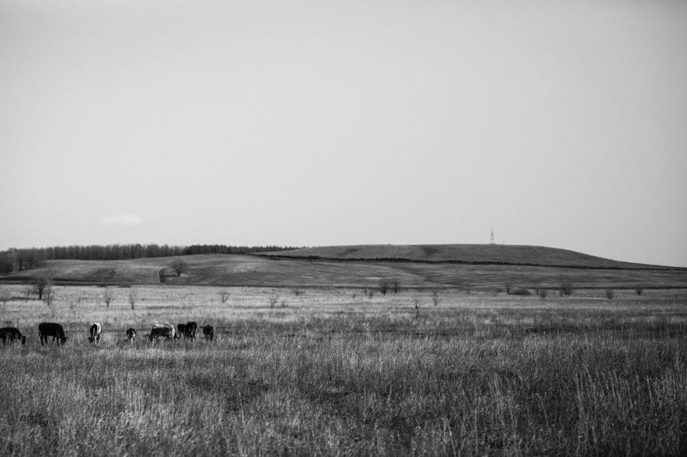 Photograph by Буданова Мария