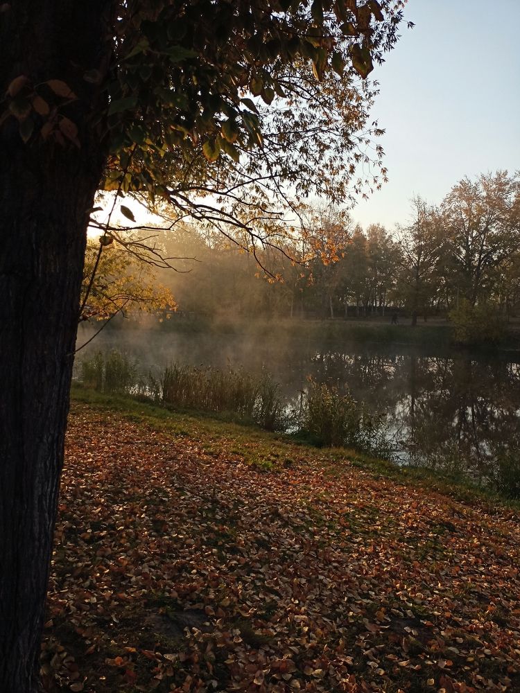 Фотография автора Татьяна Шахова