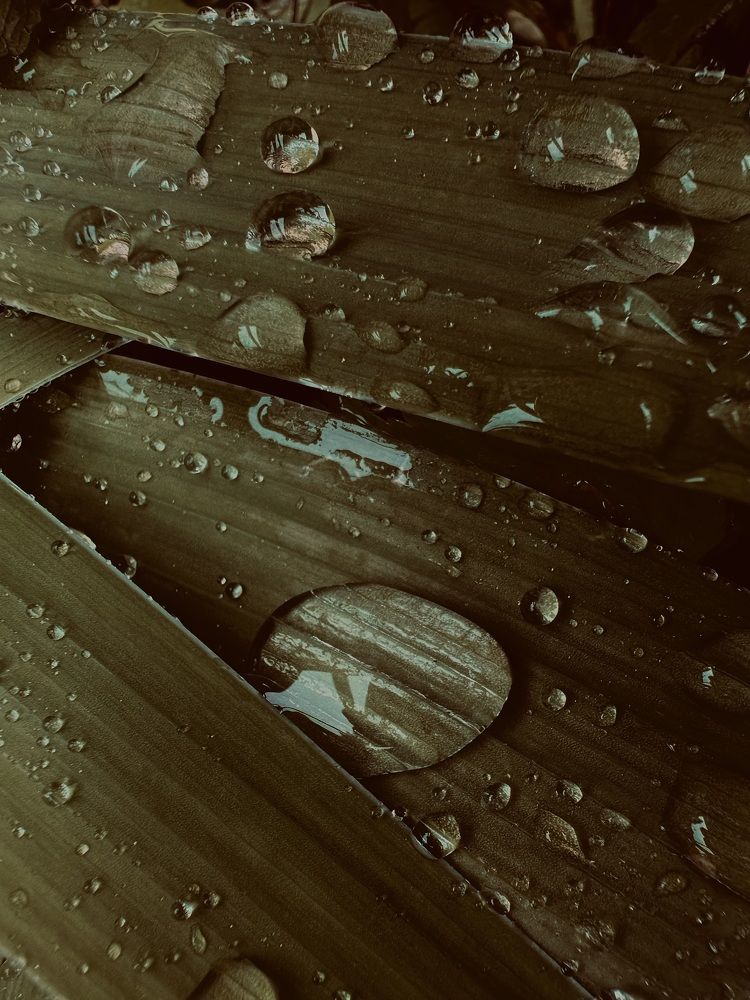 Photograph by Ольга Барулина
