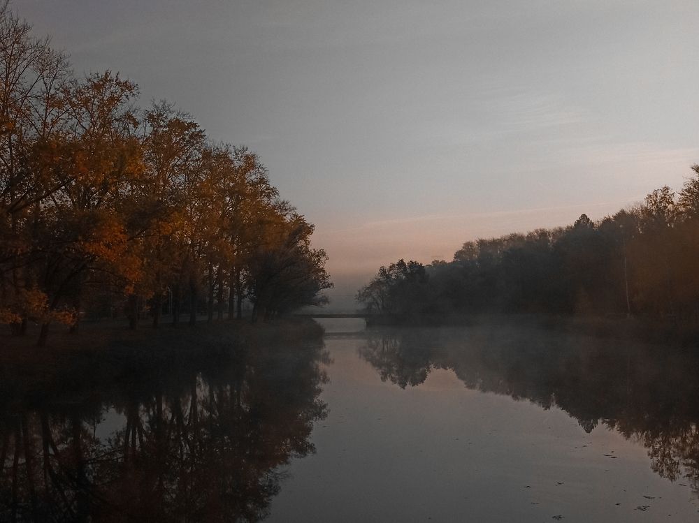 Фотография автора Татьяна Шахова