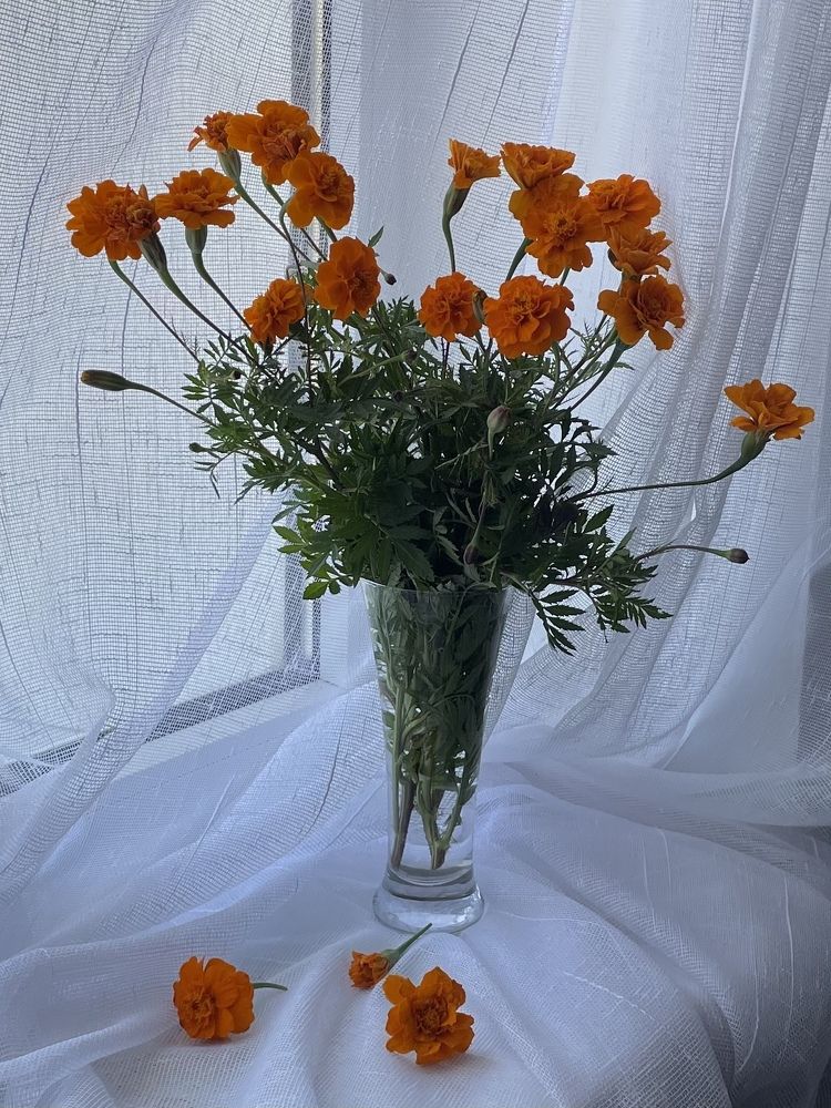 Photograph by Татьяна