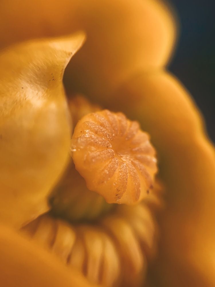 Фотография автора Юлия