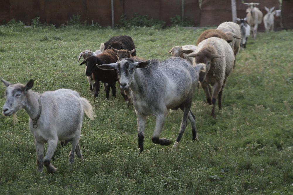 Photograph by Евгения Емельянова