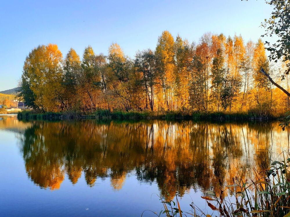 Photograph by Ирина Пичугина