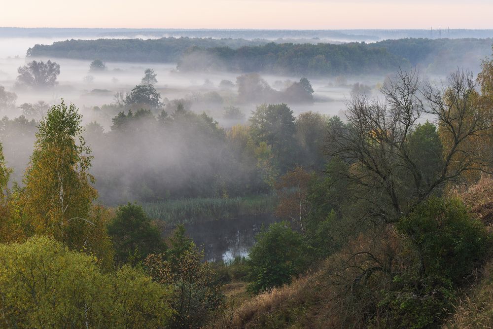 Photograph by Дмитрий Новоселов