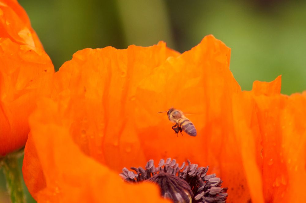 Photograph by Igor Kochkin