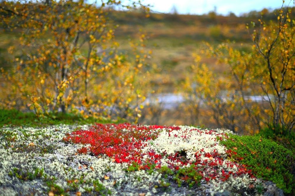 Photograph by Ксения Щербань