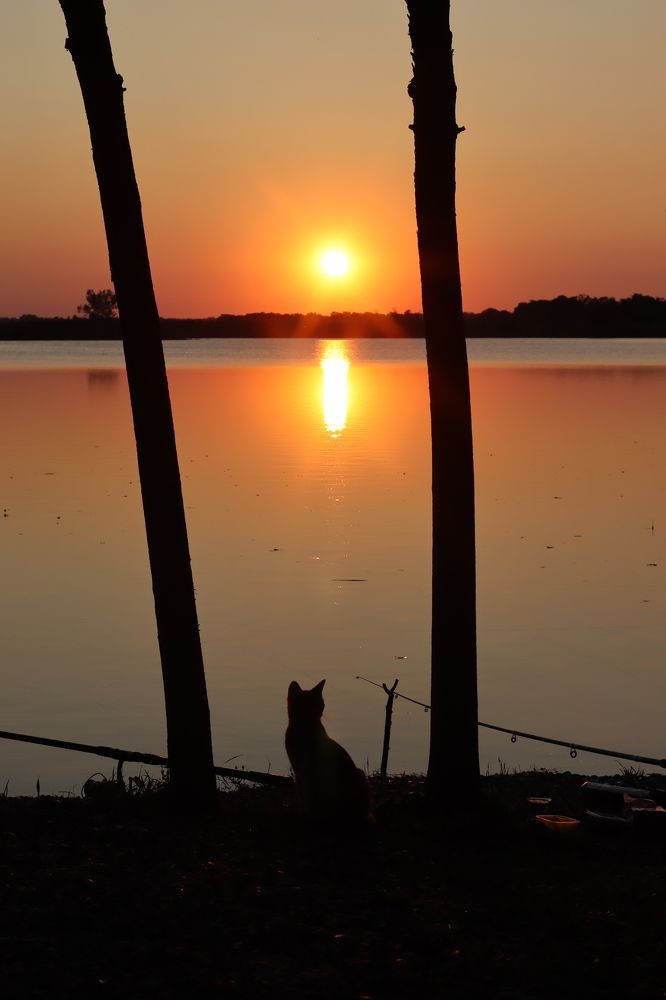 Photograph by Анастасия Терещенко