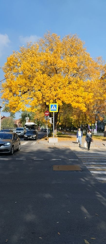 Photograph by Елена Малкова