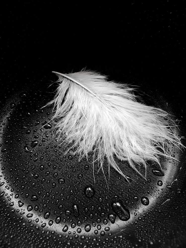 Photograph by Мария Зыкова