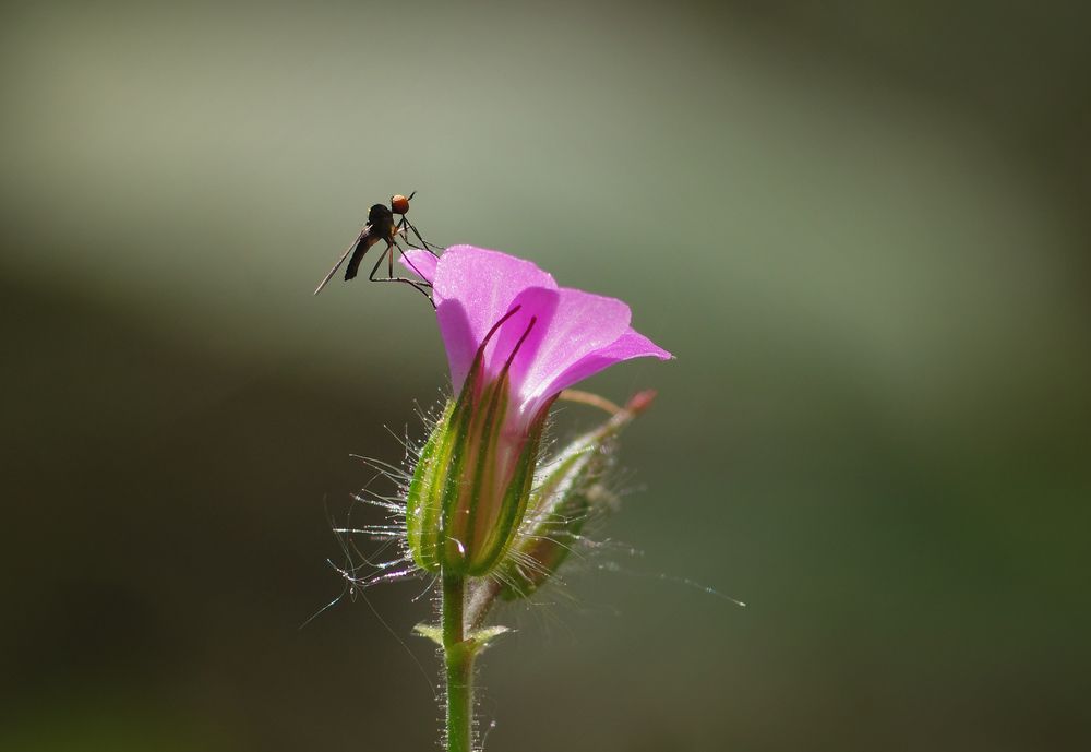 Photograph by Андрей Бурда