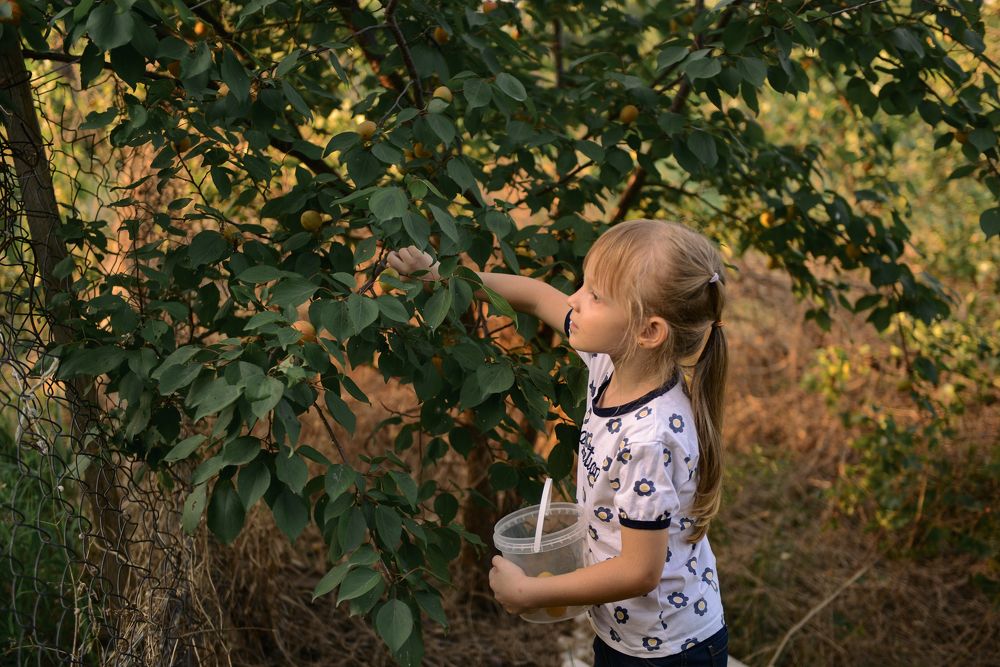 Photograph by Фотограф-Елена Будко