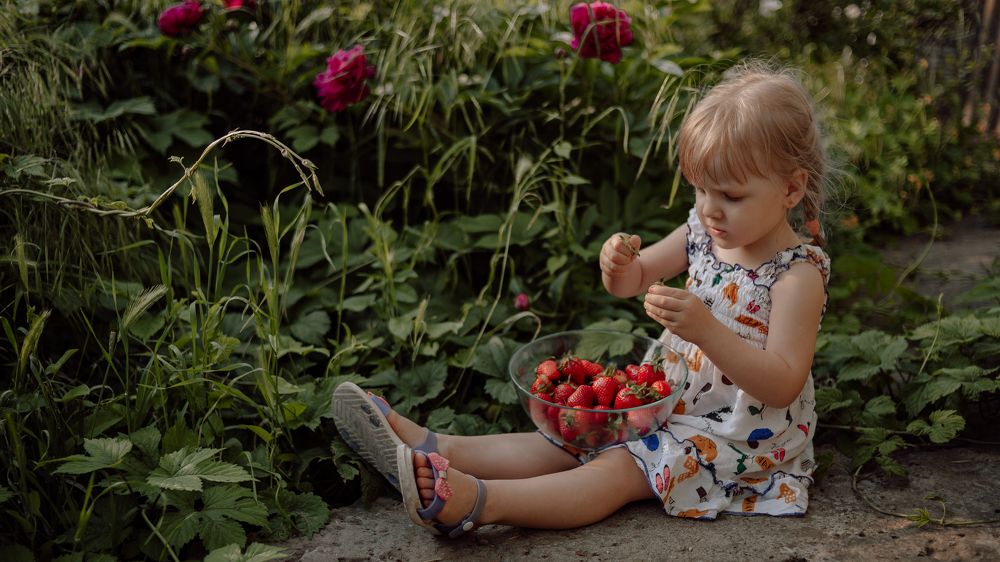 Photograph by Фотограф-Елена Будко