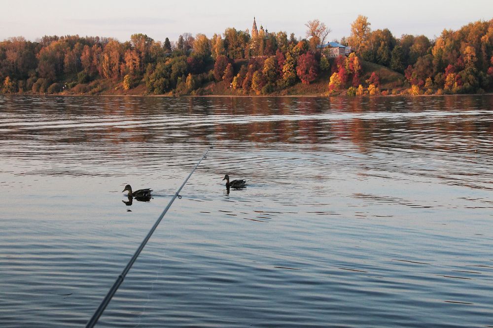 Фотография автора Елена Лаврова